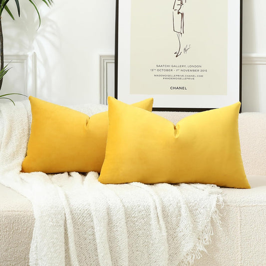 12x20 throw pillow with 450g insert by fancy & stacy