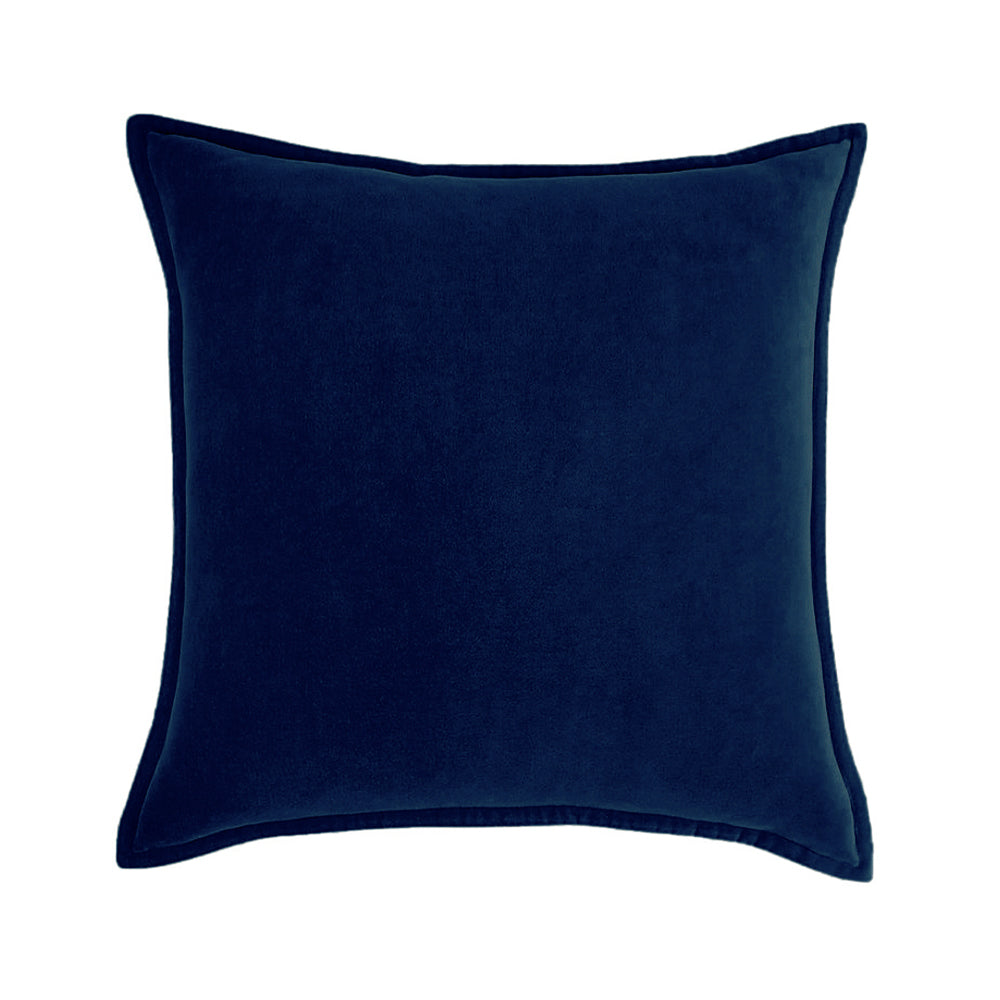 2-piece velvet decorative pillow bundle by fancy & stacy