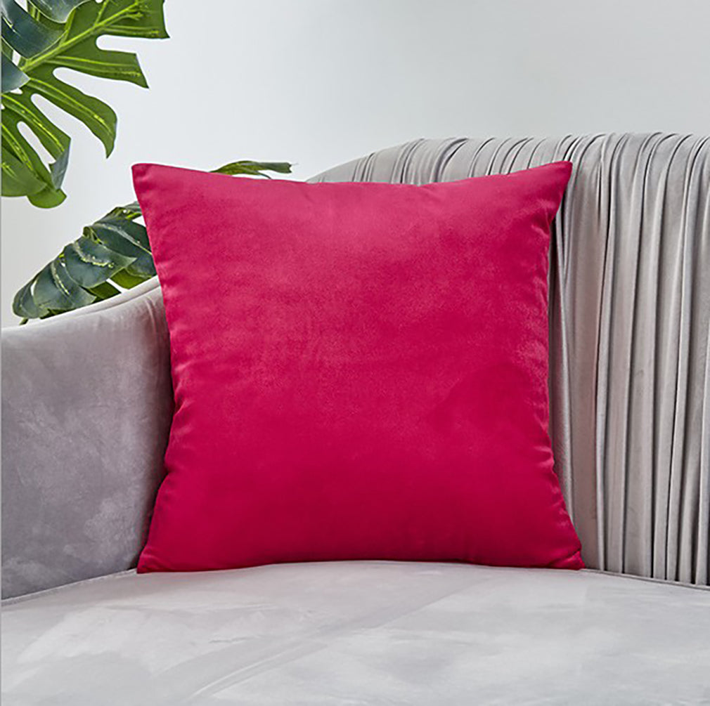 2-piece velvet decorative pillow bundle by fancy & stacy