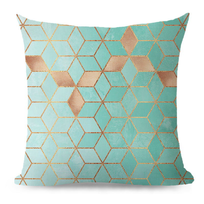 20x20 throw pillow with 450g insert by fancy & stacy