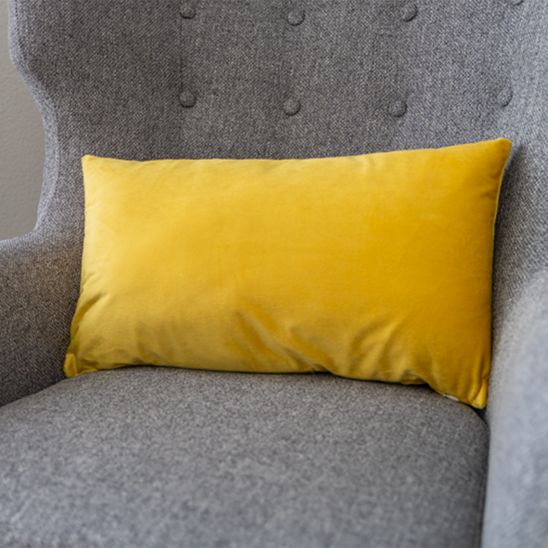 12x20 throw pillow with 450g insert by fancy & stacy